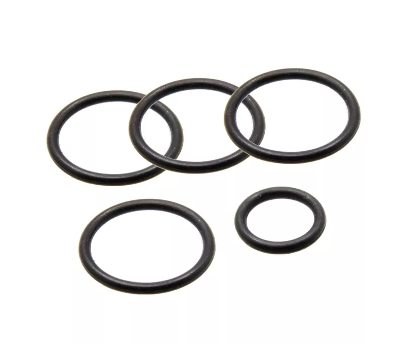 NSK O-Ring Kit (4 Large, 1 Small) | Leak-Proof Seal for PTL & H/P